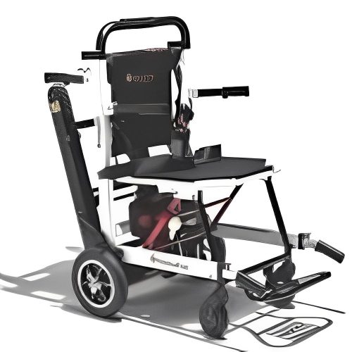 Noleggio Sedia Motorizzata per Salire e Scendere le Scale a Roma e Firenze: montascale