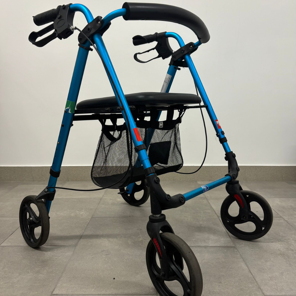 Vendita Rollator Usato